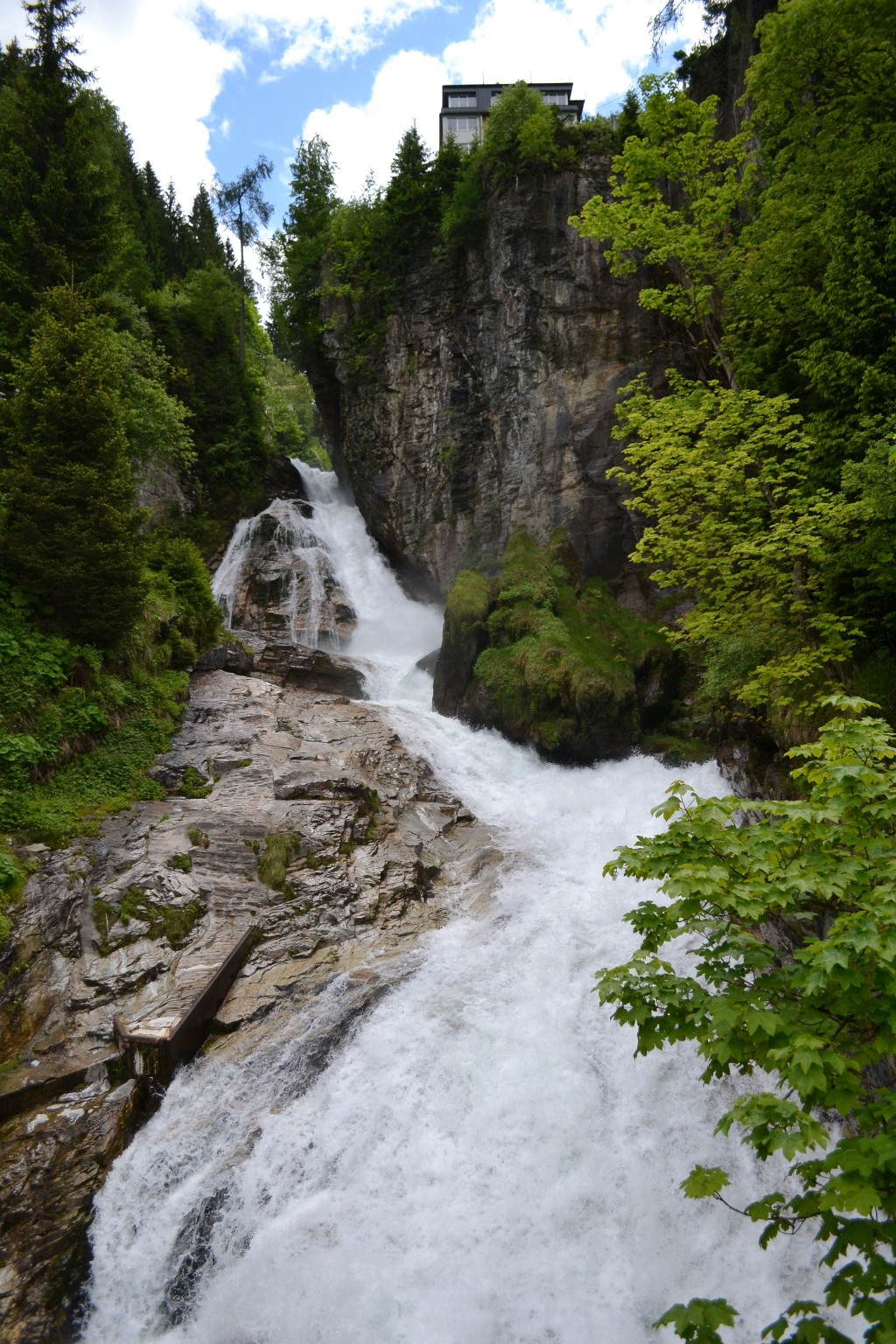 dsc_6842